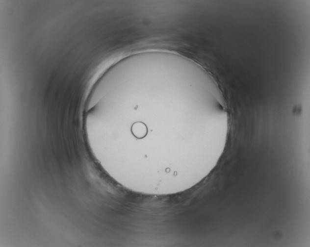 X0000113180148200910161340