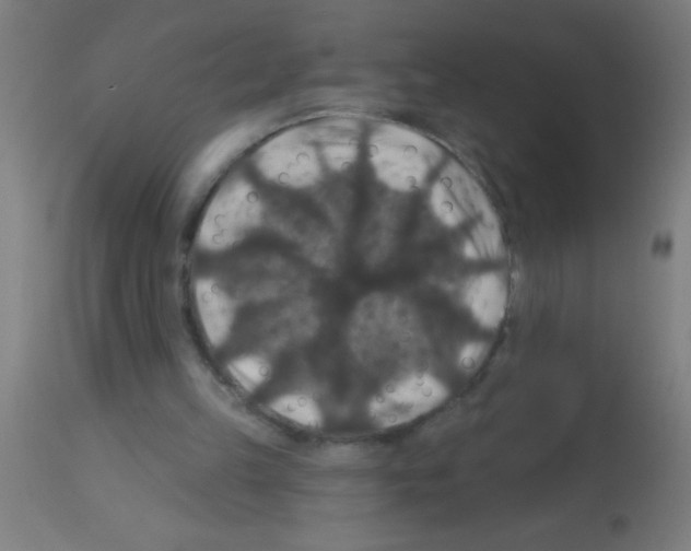 X0000113180149200910161340