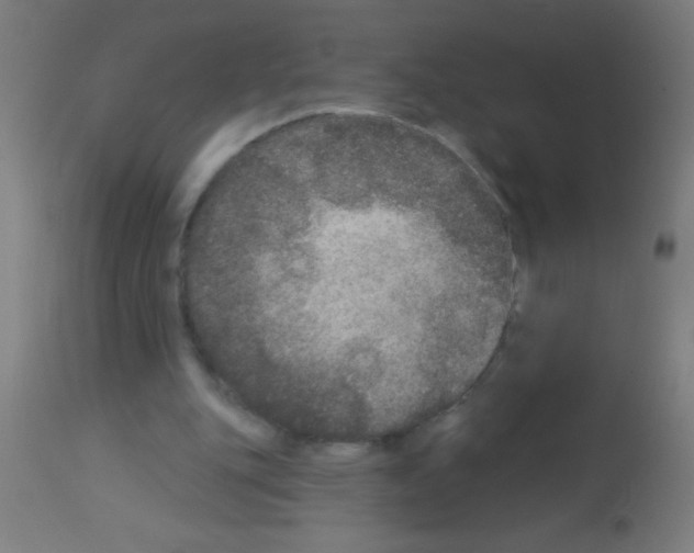 X0000113180151200910161340