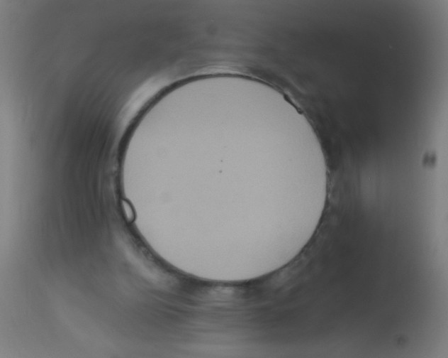 X0000113180152200910161340