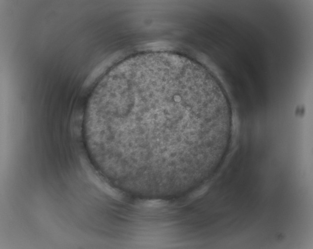 X0000113180153200910161340