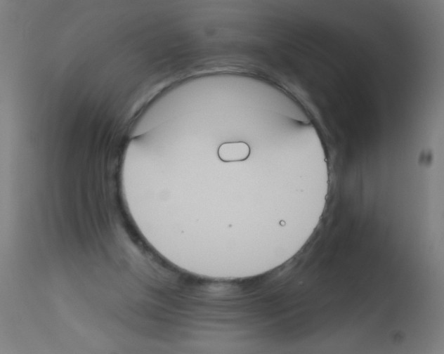 X0000113180154200910161340