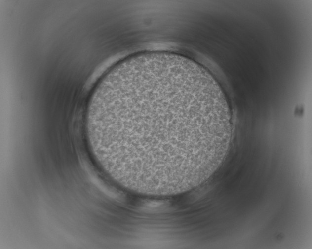 X0000113180155200910161340