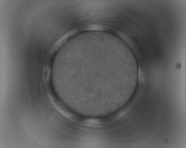 X0000113180157200910161340