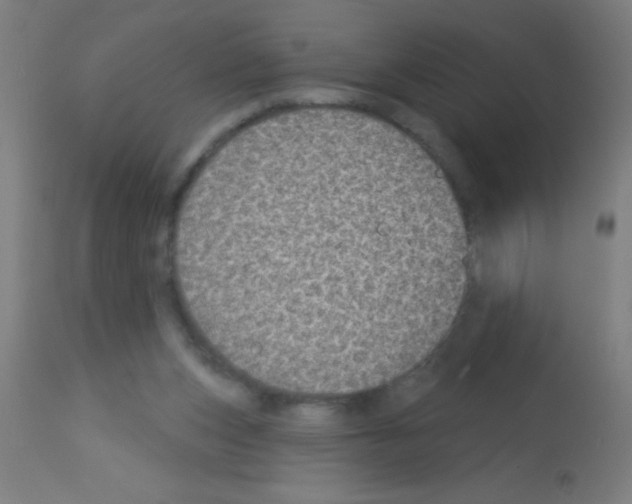 X0000113180159200910161340