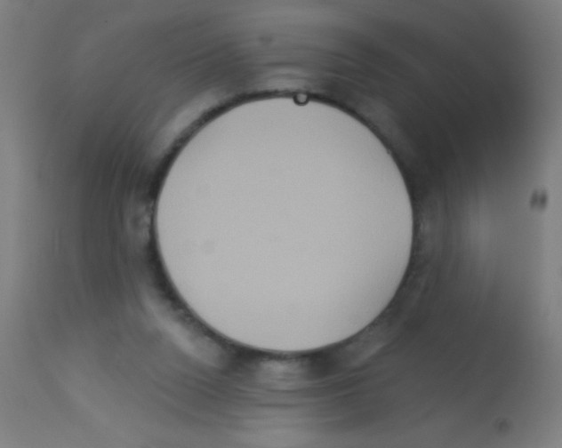X0000113180160200910161340