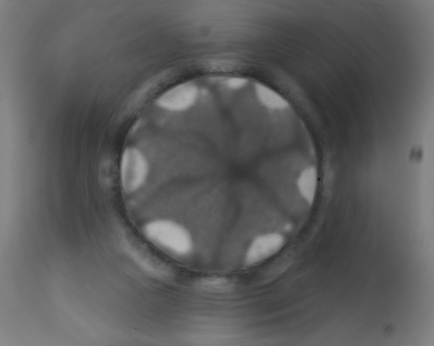 X0000113180161200910161340