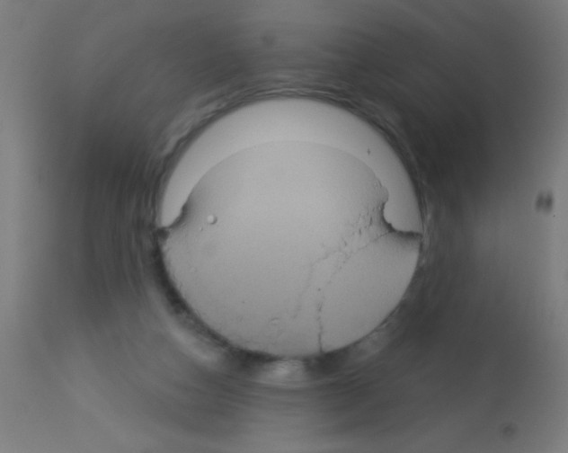 X0000113180162200910161340