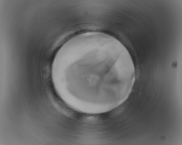 X0000113180163200910161340