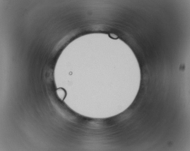 X0000113180164200910161340