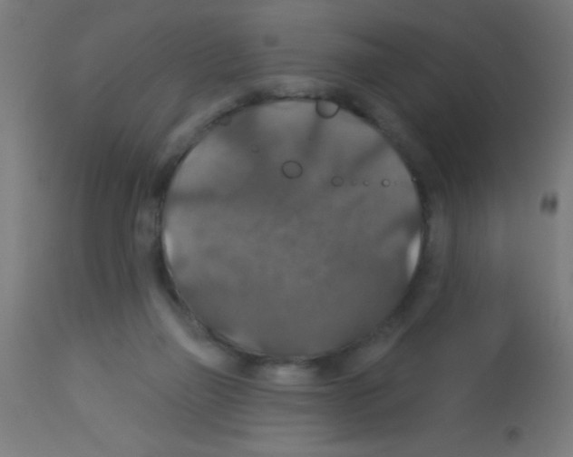 X0000113180165200910161340