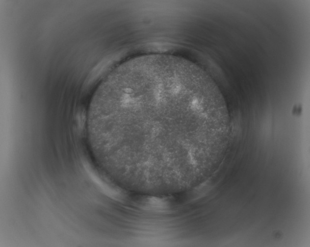 X0000113180166200910161340