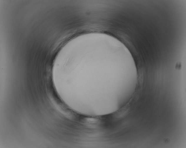 X0000113180167200910161340