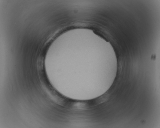 X0000113180168200910161340