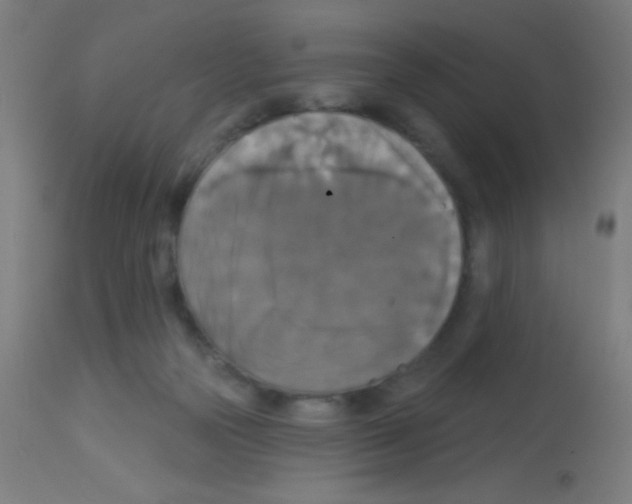 X0000113180169200910161340