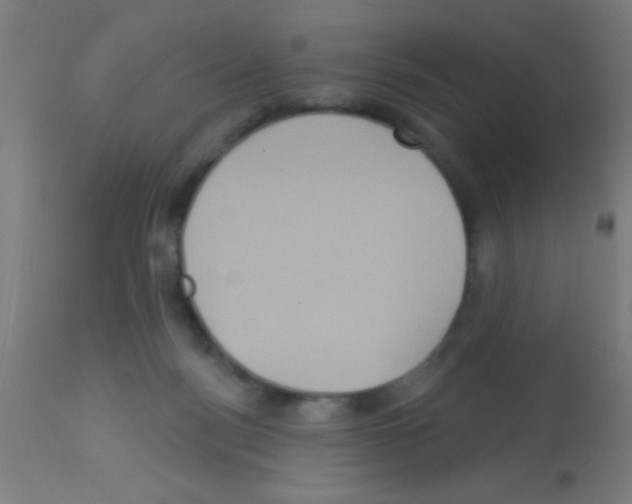 X0000113180172200910161340