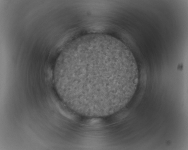 X0000113180173200910161340