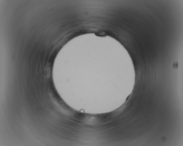 X0000113180174200910161340