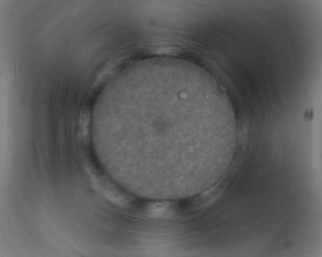 X0000113180175200910161340