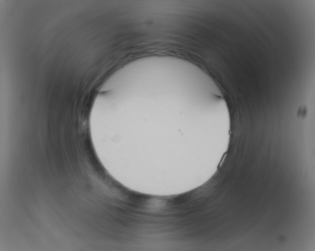X0000113180176200910161340