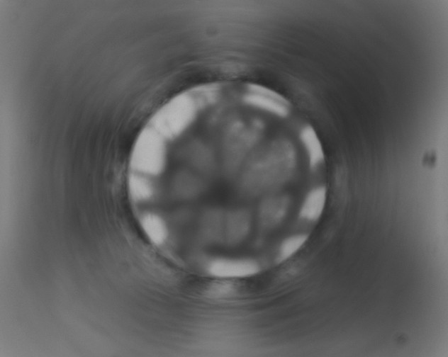 X0000113180177200910161340
