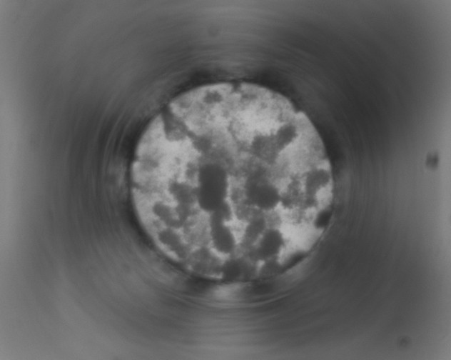 X0000113180178200910161340
