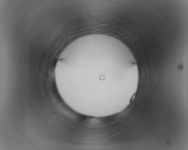 X0000113180180200910161341