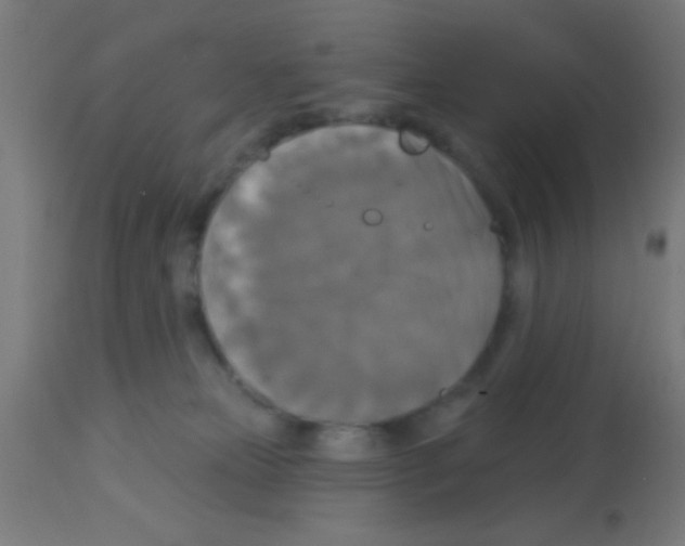 X0000113180181200910161341