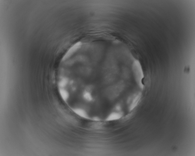 X0000113180182200910161341