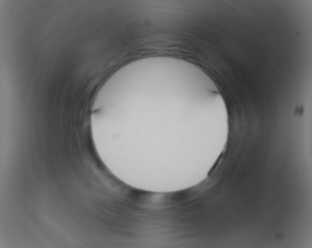 X0000113180184200910161341