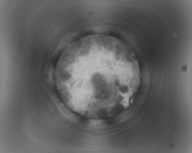 X0000113180185200910161341