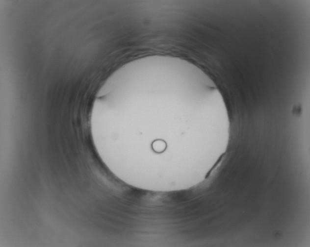X0000113180186200910161341