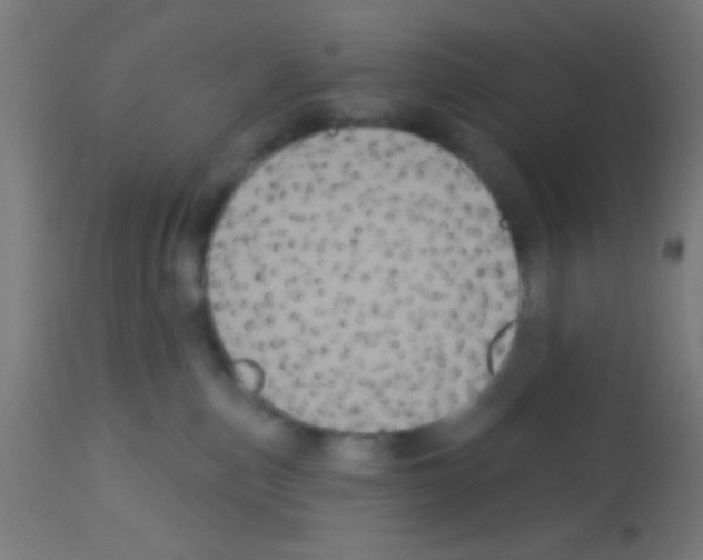 X0000113180187200910161341