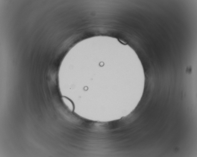 X0000113180188200910161341