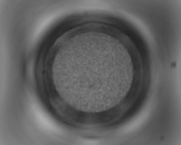 X0000113180189200910161341