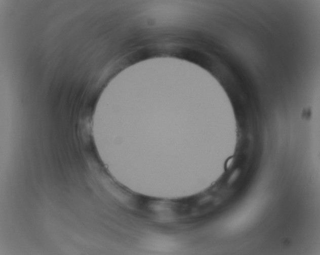 X0000113180190200910161341