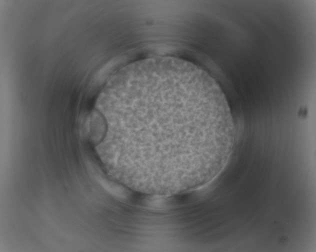 X0000113180191200910161341