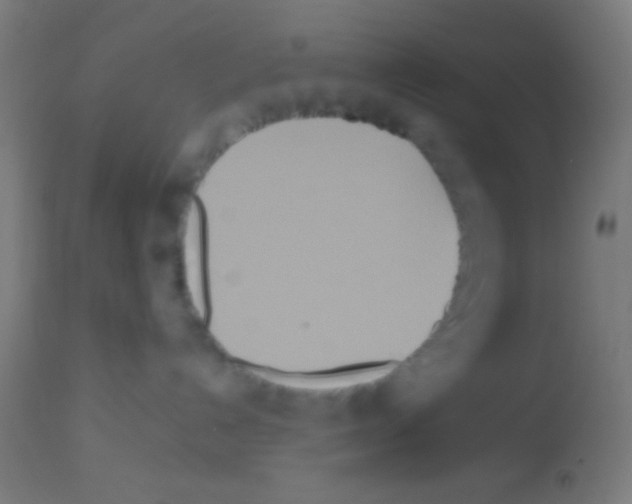 X0000113180192200910161341