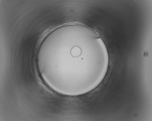 X0000113180193200910161340