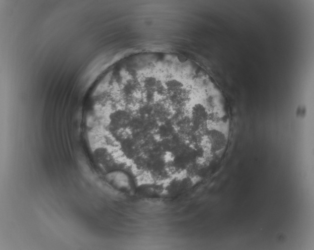 X0000113180194200910161340