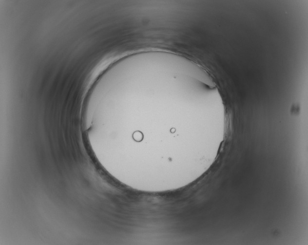 X0000113180195200910161340