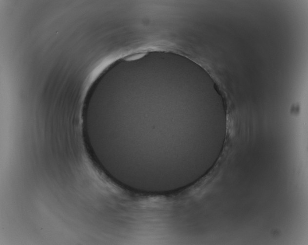 X0000113180196200910161340
