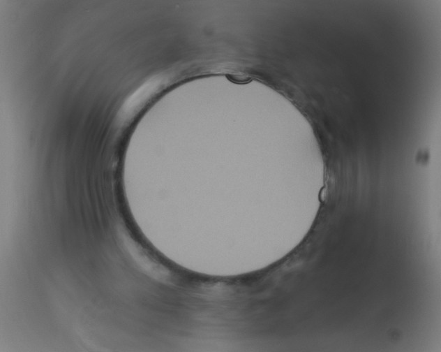 X0000113180197200910161340