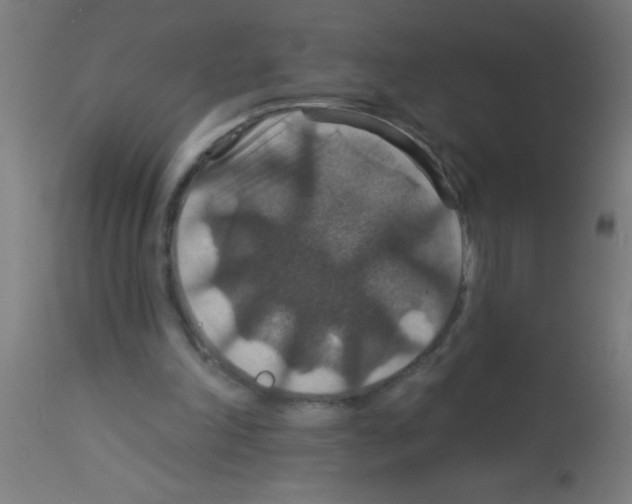 X0000113180198200910161340