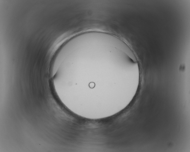 X0000113180199200910161340