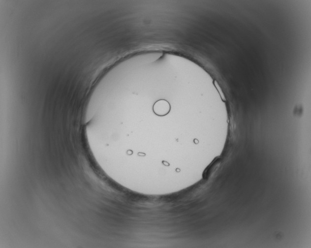 X0000113180201200910161340