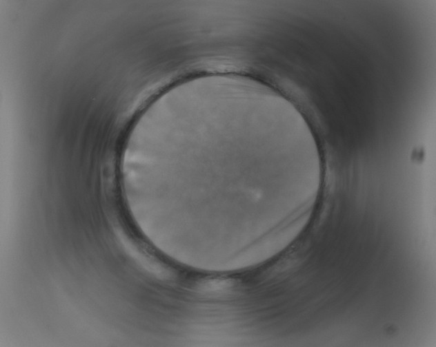 X0000113180202200910161340