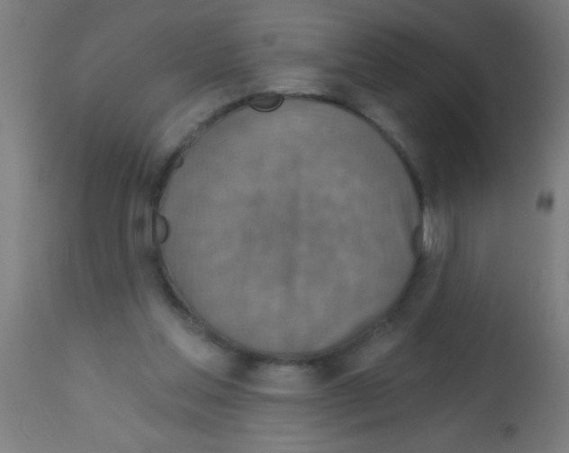 X0000113180205200910161340