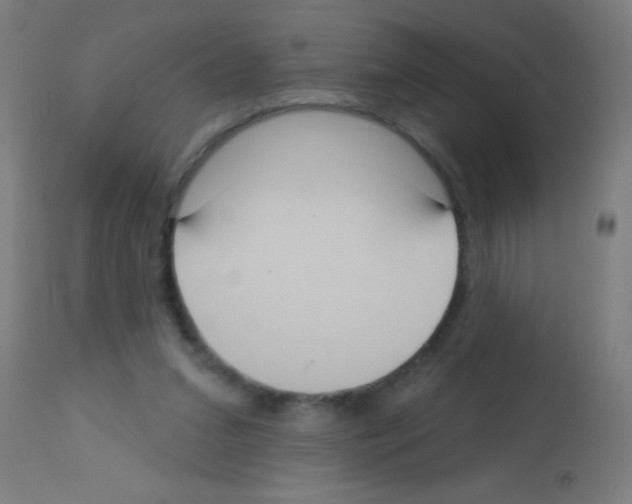 X0000113180207200910161340