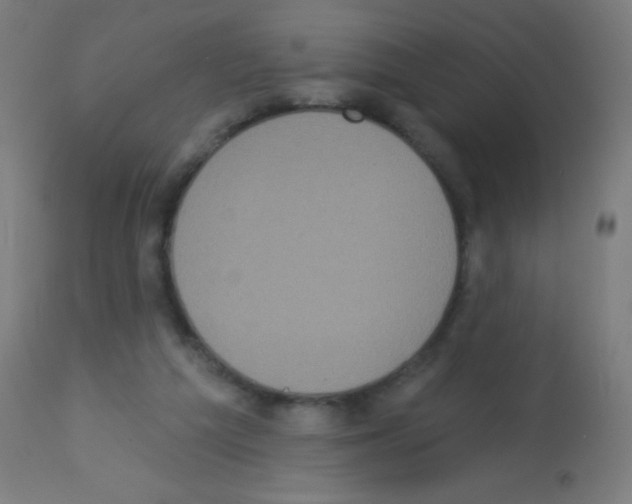 X0000113180209200910161340